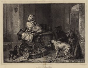 Byrokrat